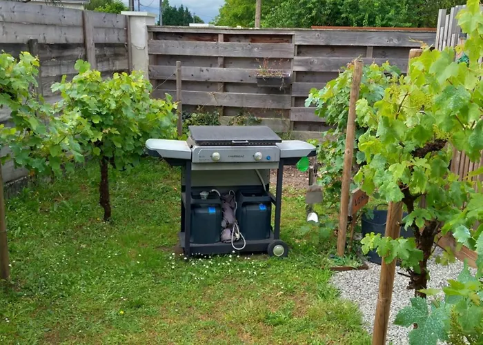 Apartment Meuble, Le Figuier D'elian Saint-Médard-en-Jalles